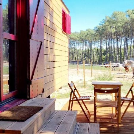 Roulottes Cocooning Au Coeur Des Landes Hotel Mées Exterior photo