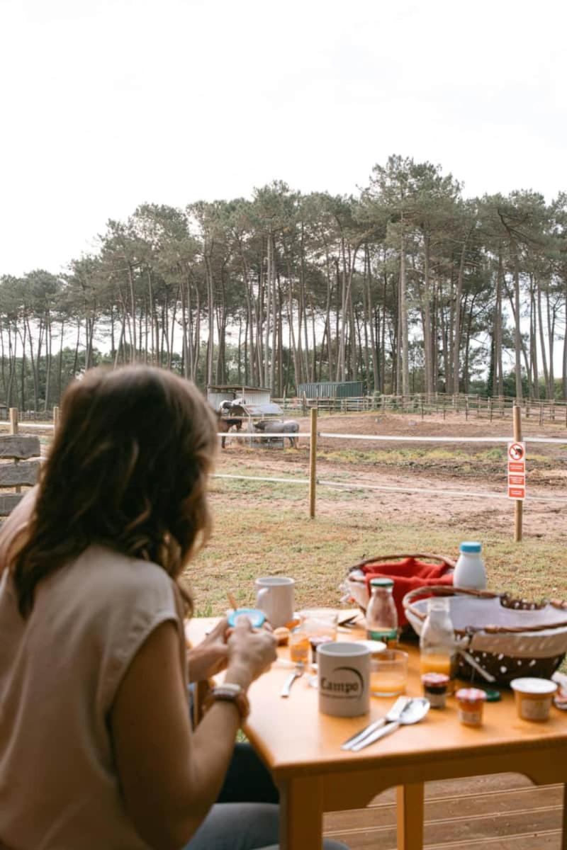 Roulottes Cocooning Au Coeur Des Landes Hotel Mées Exterior photo
